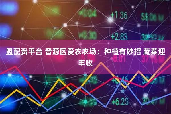 盟配资平台 晋源区爱农农场：种植有妙招 蔬菜迎丰收