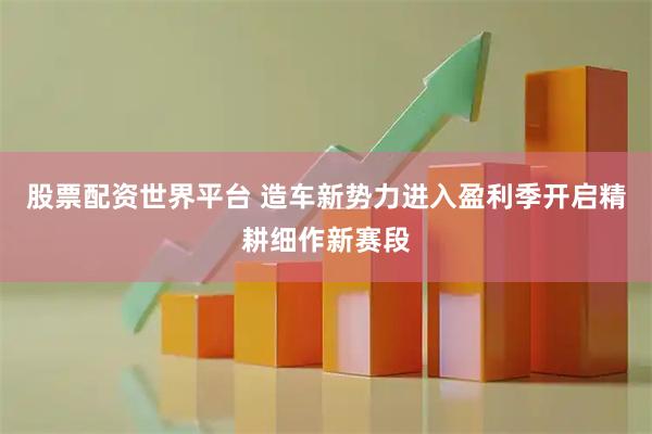 股票配资世界平台 造车新势力进入盈利季开启精耕细作新赛段