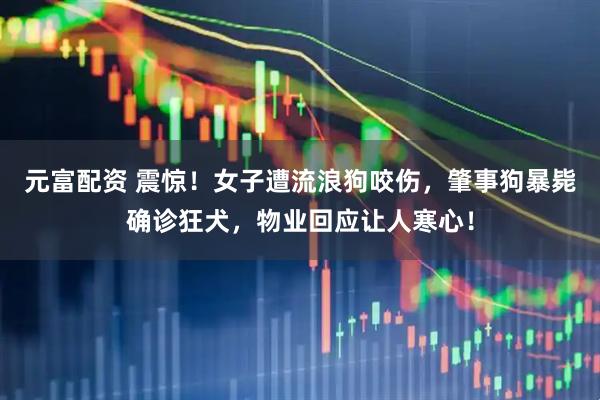 元富配资 震惊！女子遭流浪狗咬伤，肇事狗暴毙确诊狂犬，物业回应让人寒心！