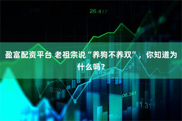 盈富配资平台 老祖宗说“养狗不养双”，你知道为什么吗？