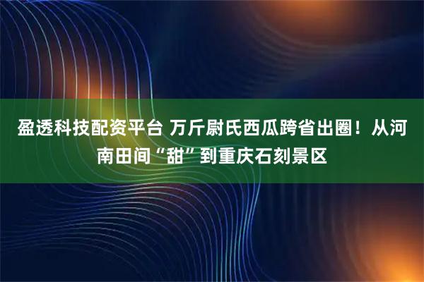 盈透科技配资平台 万斤尉氏西瓜跨省出圈！从河南田间“甜”到重庆石刻景区